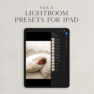 IPAD VERSION Suzi Bird Lightroom Presets - Pack Two