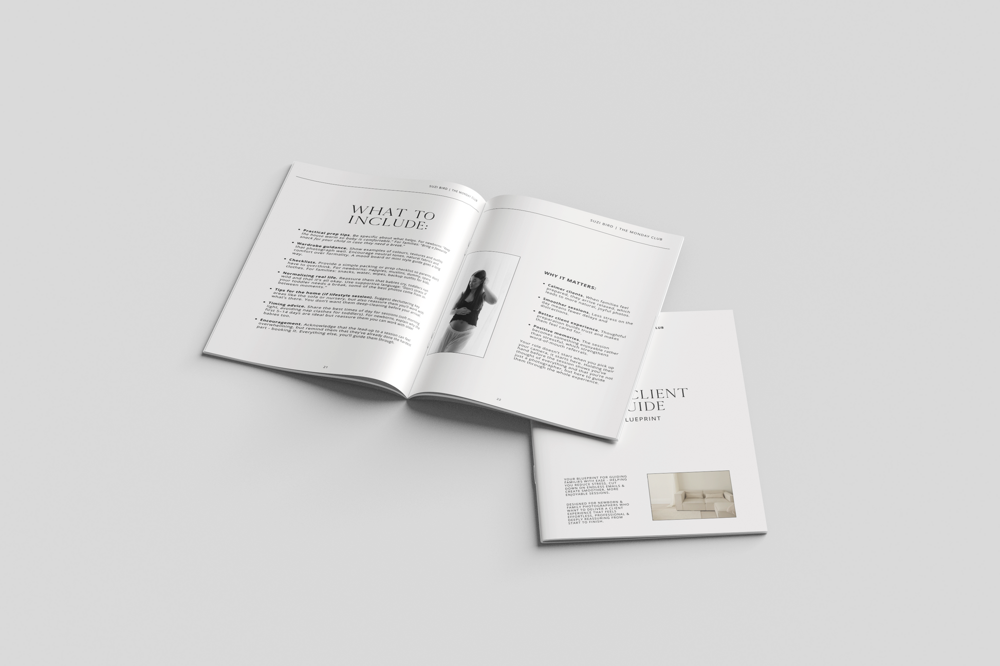 The Ultimate Client Guide Blueprint E-Book