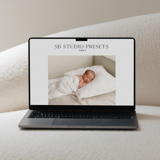 Suzi Bird Lightroom Presets - Pack Two