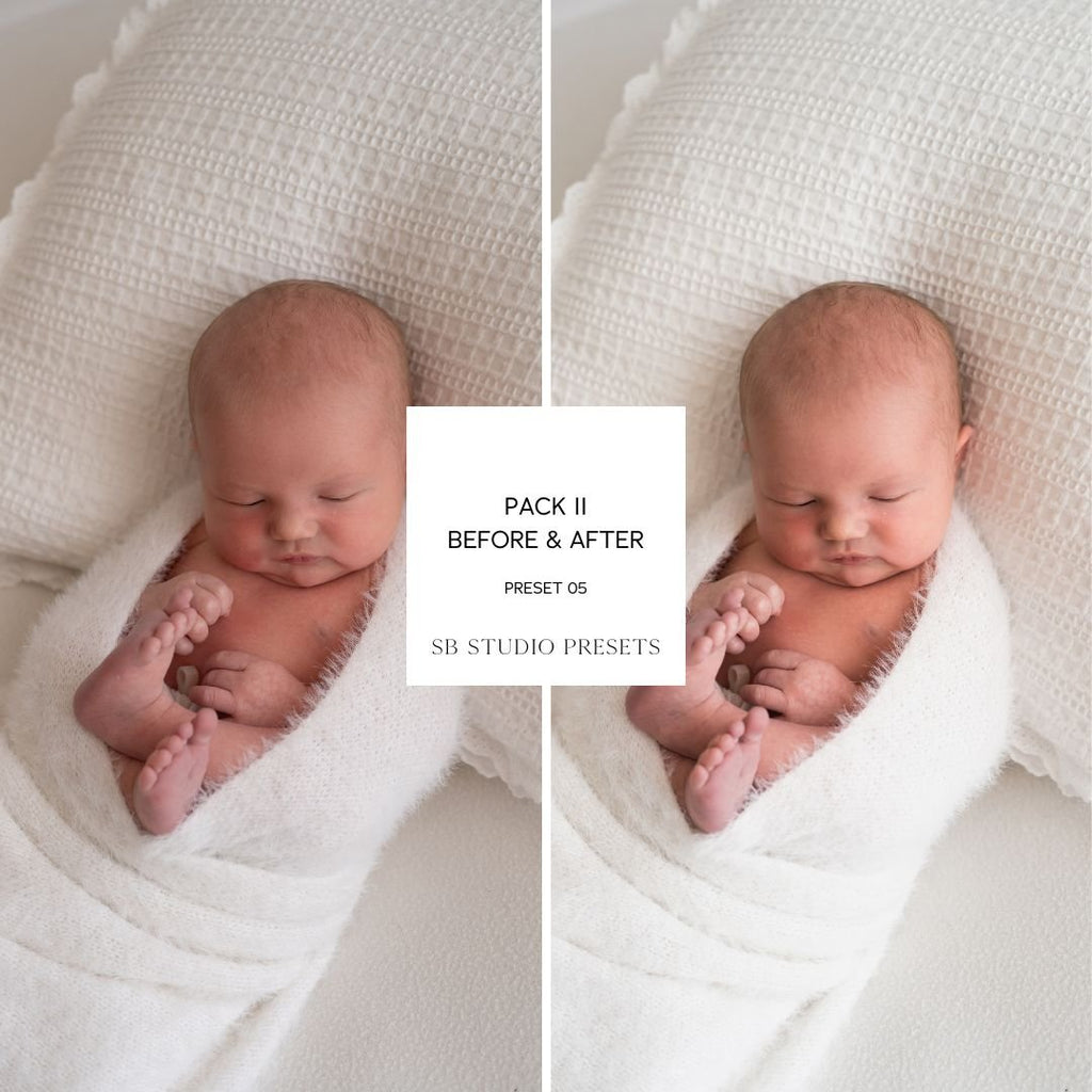 IPAD VERSION Suzi Bird Lightroom Presets - Pack Two