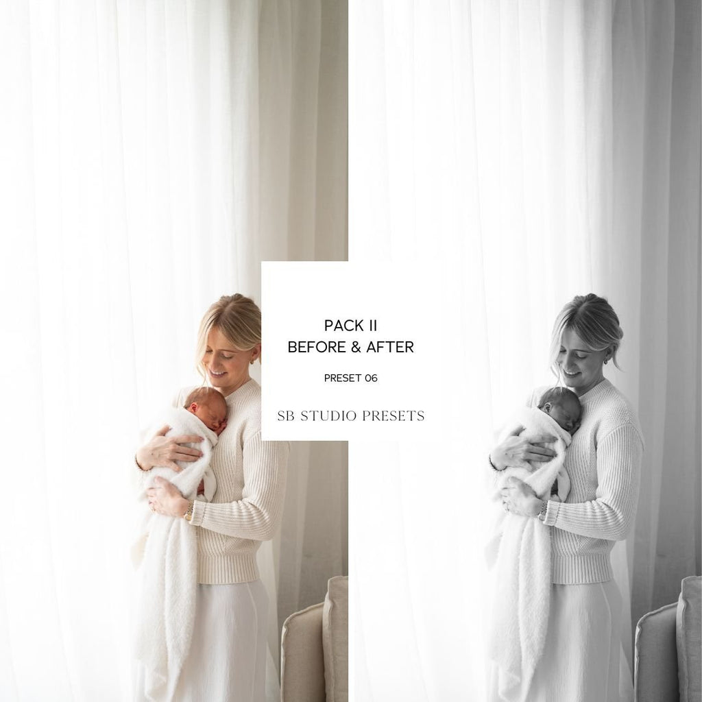 IPAD VERSION Suzi Bird Lightroom Presets - Pack Two
