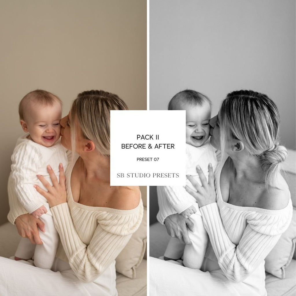 IPAD VERSION Suzi Bird Lightroom Presets - Pack Two