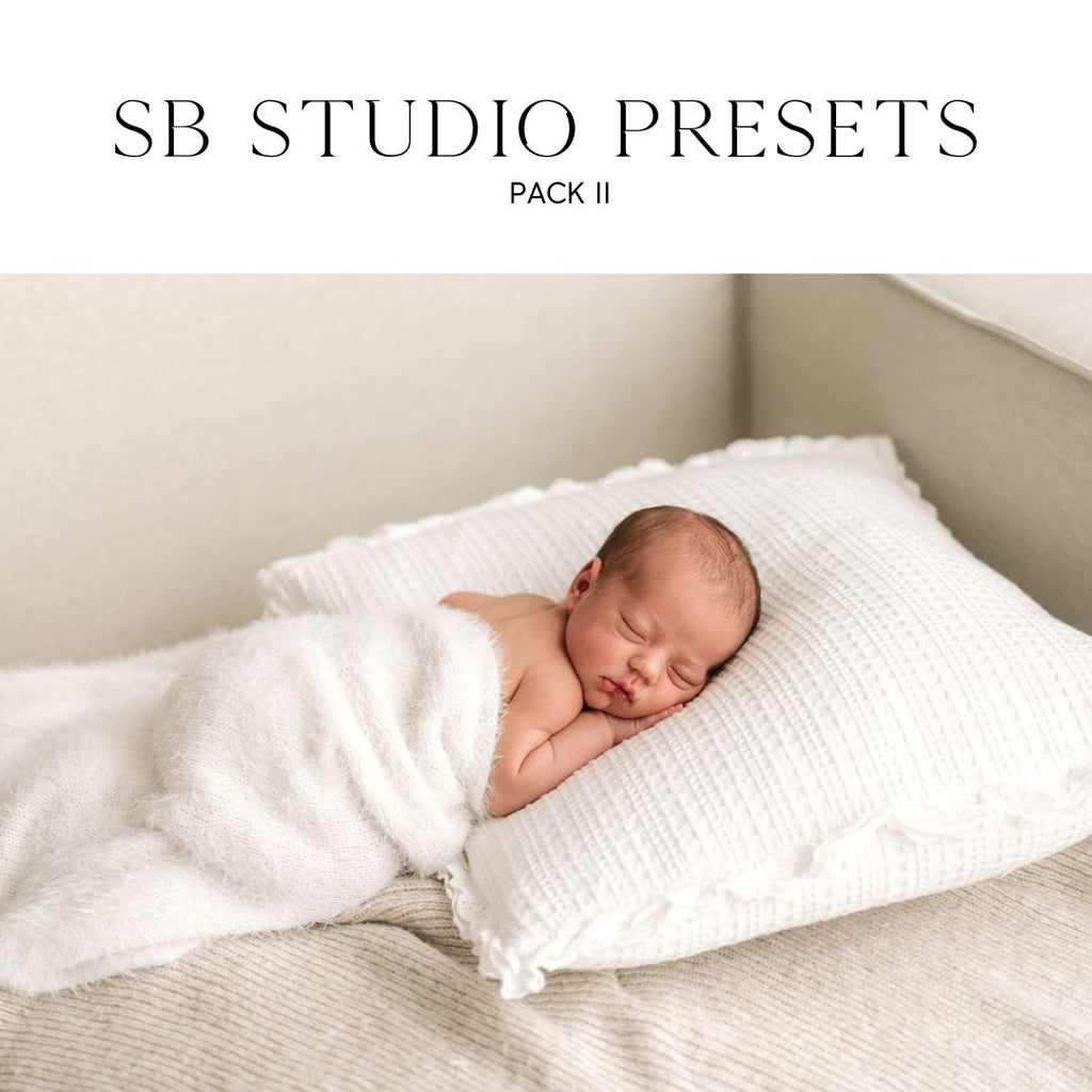 IPAD VERSION Suzi Bird Lightroom Presets - Pack Two