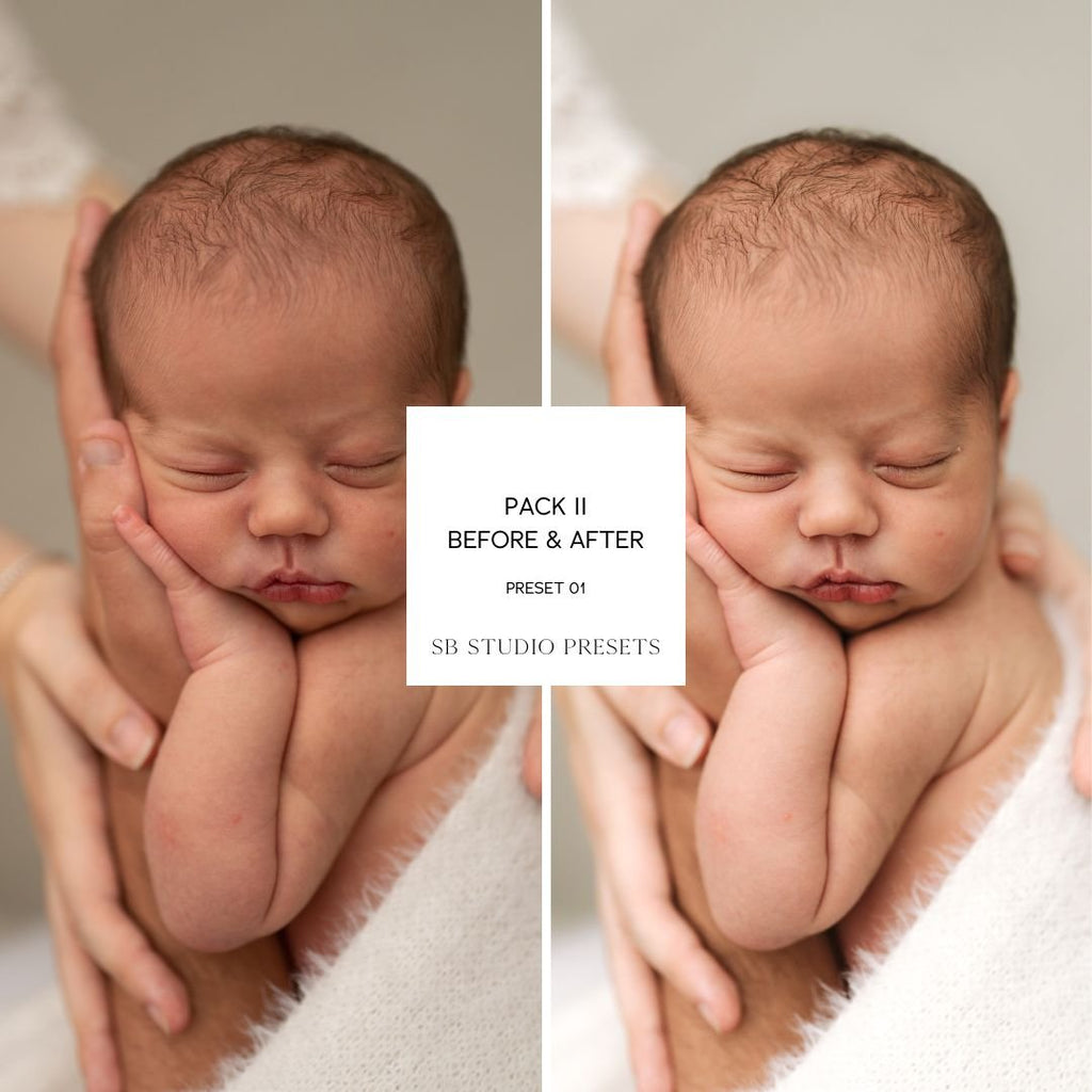 IPAD VERSION Suzi Bird Lightroom Presets - Pack Two