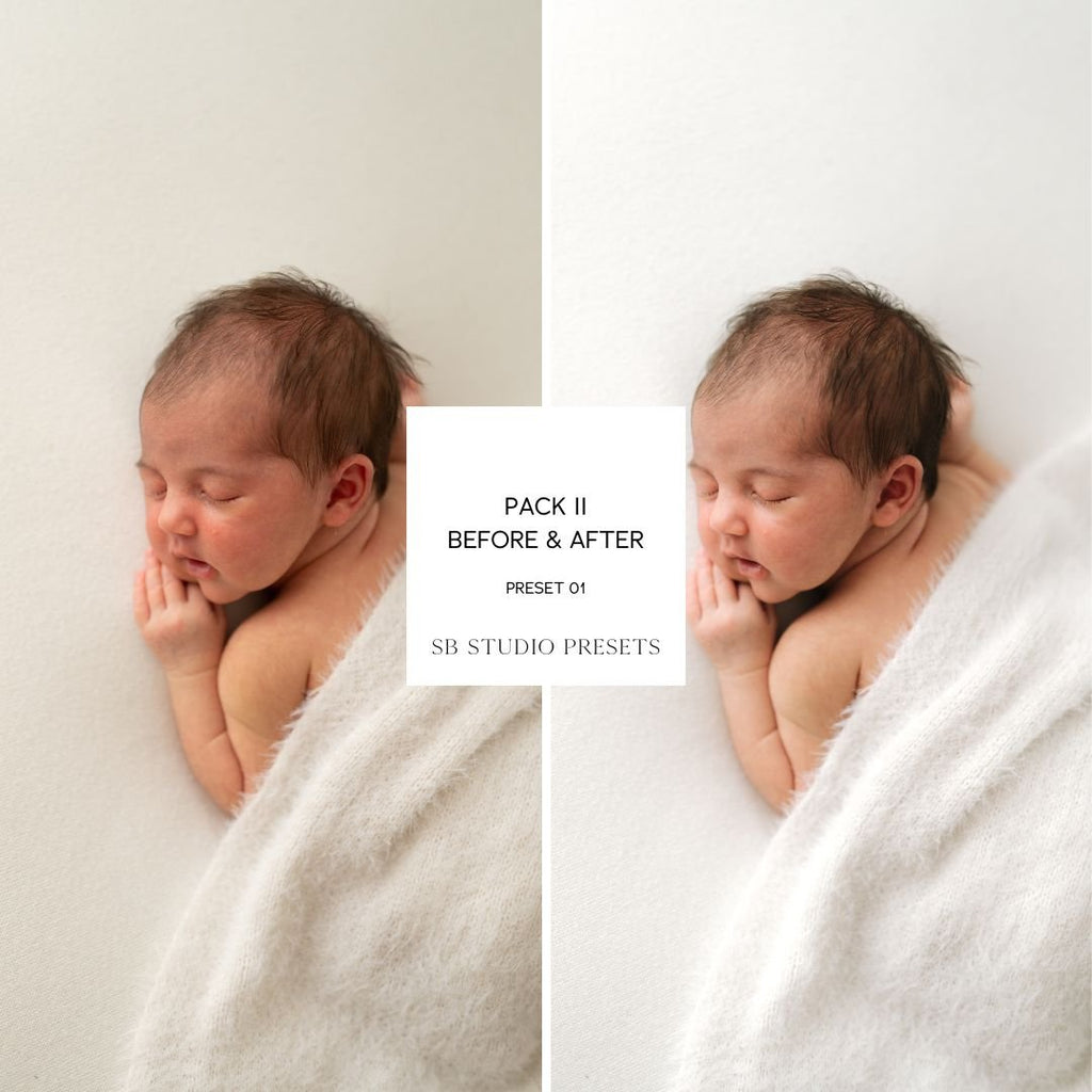 IPAD VERSION Suzi Bird Lightroom Presets - Pack Two