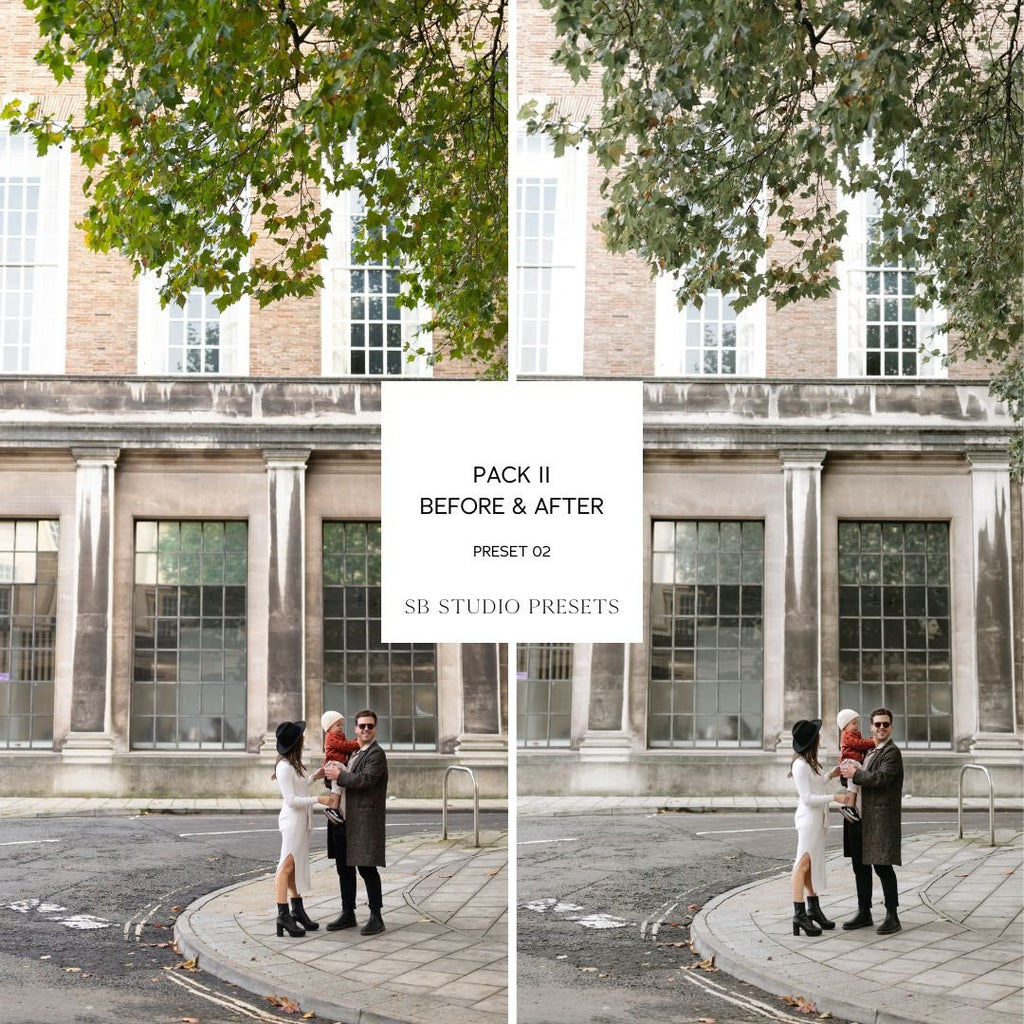 IPAD VERSION Suzi Bird Lightroom Presets - Pack Two