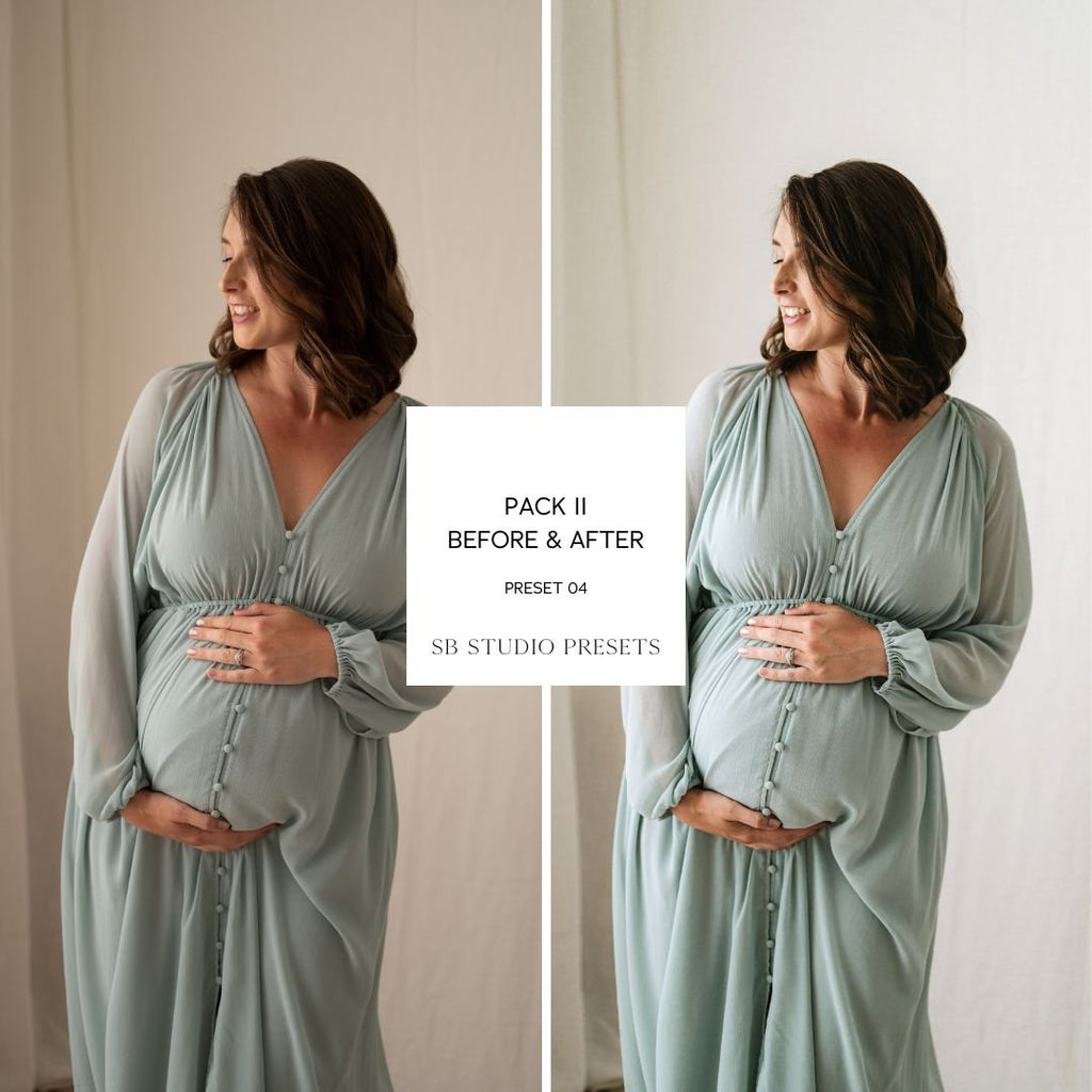 IPAD VERSION Suzi Bird Lightroom Presets - Pack Two