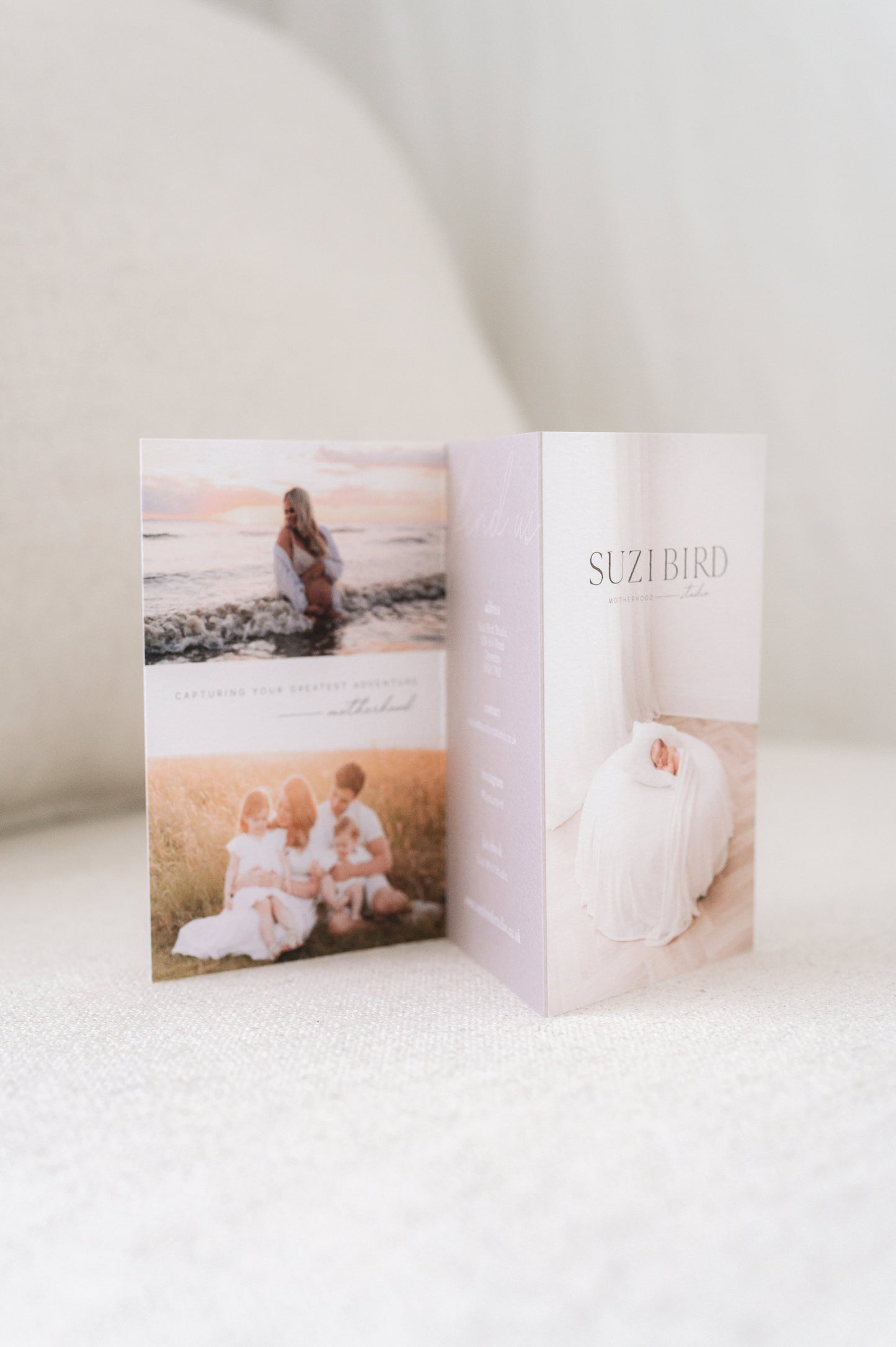 Tri-fold Leaflet Template for Creatives