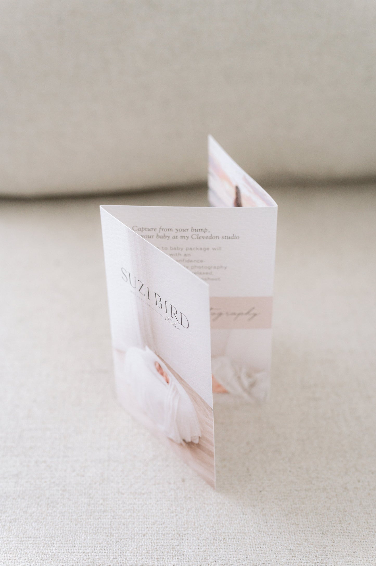 Tri-fold Leaflet Template for Creatives