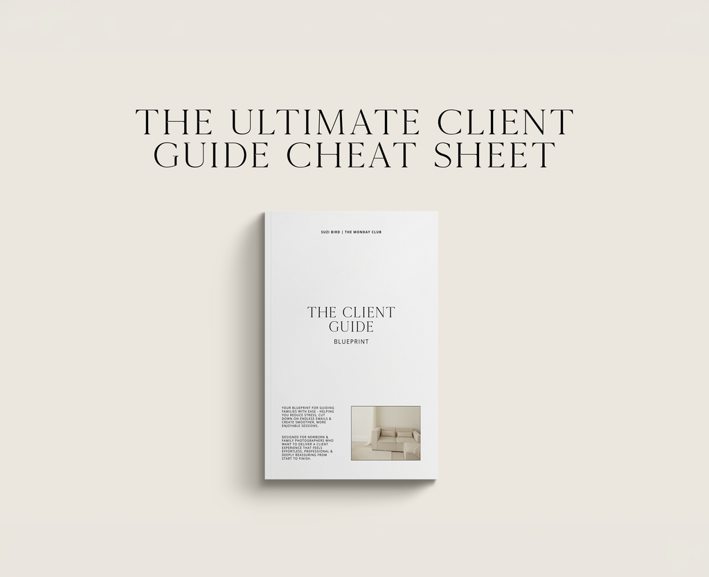 The Ultimate Client Guide Blueprint E-Book