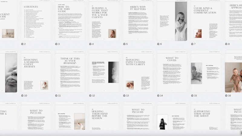 The Ultimate Client Guide Blueprint E-Book