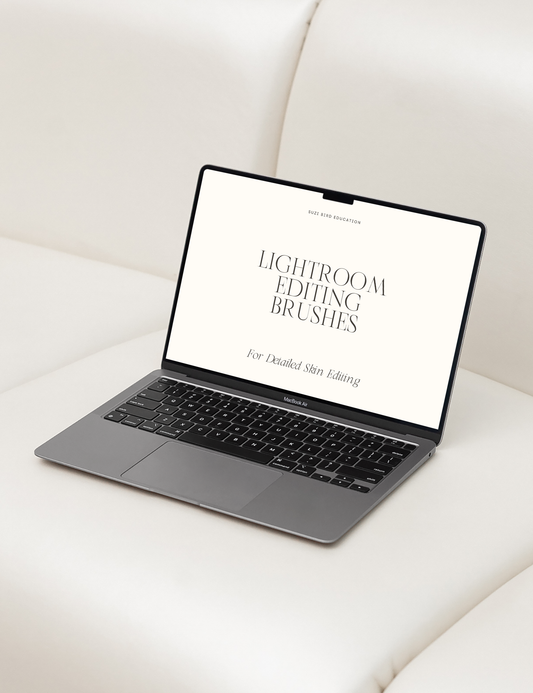 Lightroom Mask Editing Brushes for Newborn Photographers